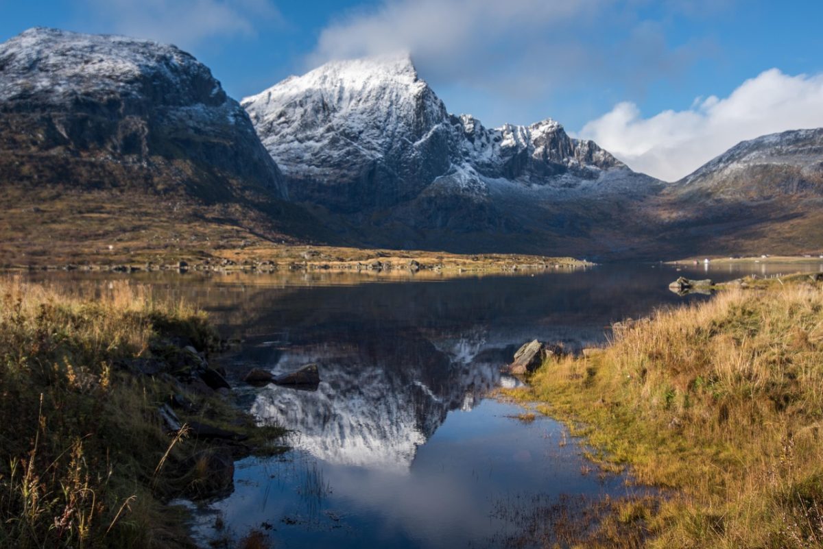 Ecosse
